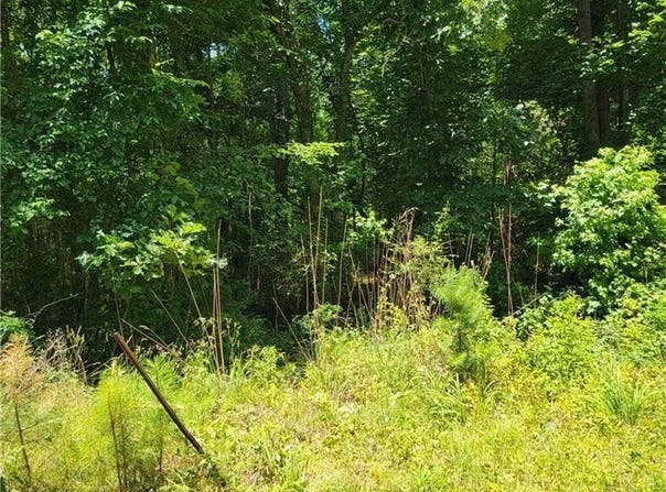 Spring Hill Drive, Covington, GA 30016