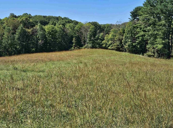 241 Briar Patch Road, Philippi, WV 26416