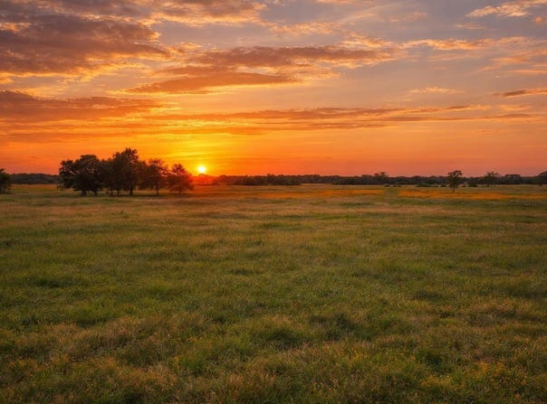 CR 103, Lampasas, TX 76550