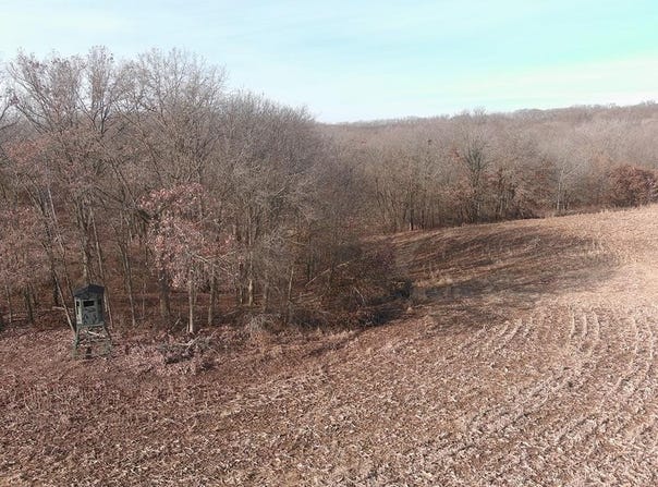 Lion Road, Milan, MO 63556