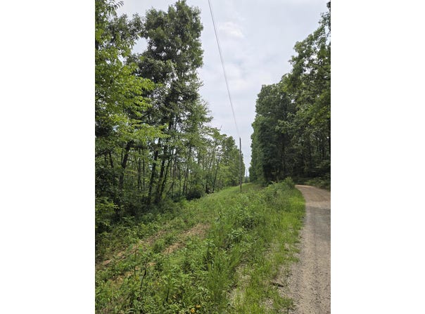 001 76-126, Norwood, MO 65717