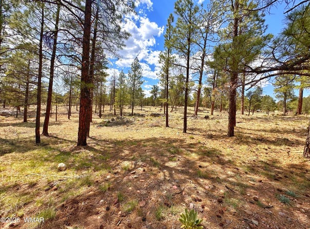 PAR 007H Chevelon Rd, Heber, AZ 85928