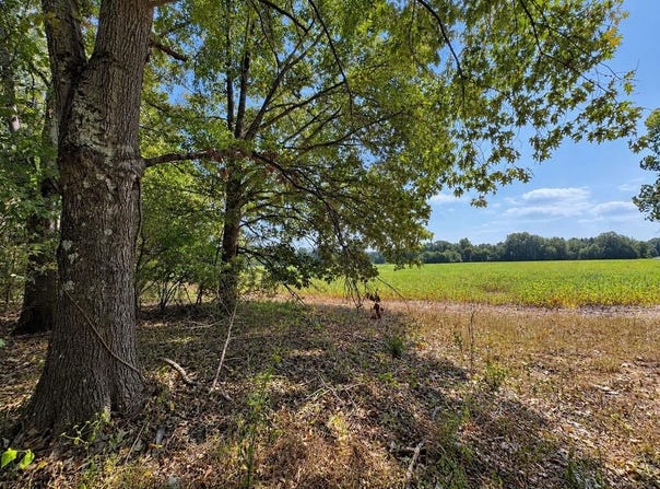 tbd 2 Old Panola Road, SARDIS, MS 38666