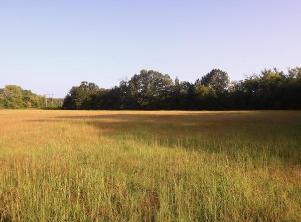 123 Cr 203, TUPELO, MS 38804