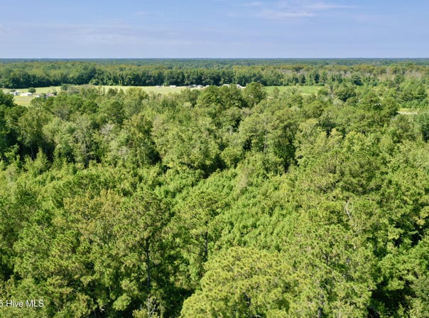 Bud Stephens Road, Evergreen, NC 28438