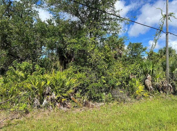 163 HARDEE WAY, ROTONDA WEST, FL 33947