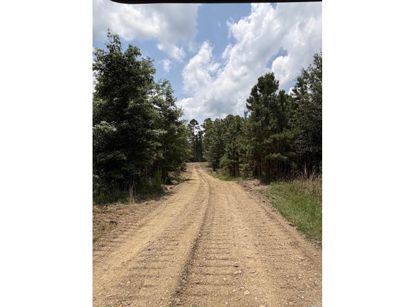 Easement Road off Polk Road 31, Cove, AR 71937