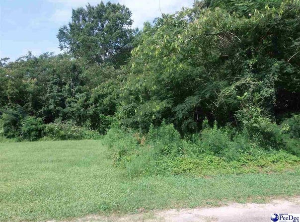Porter Street, Lamar, SC 29069