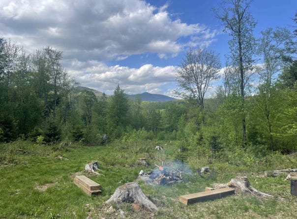Leland Farm Road lot: D, Middlesex, VT 05602