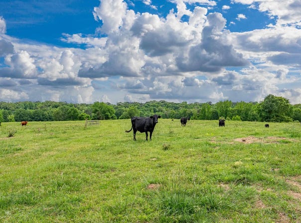 371 Highway 128, Bismarck, AR 71929