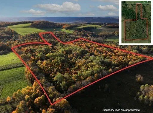Jennison Rd, Pittsfield, NY 13411