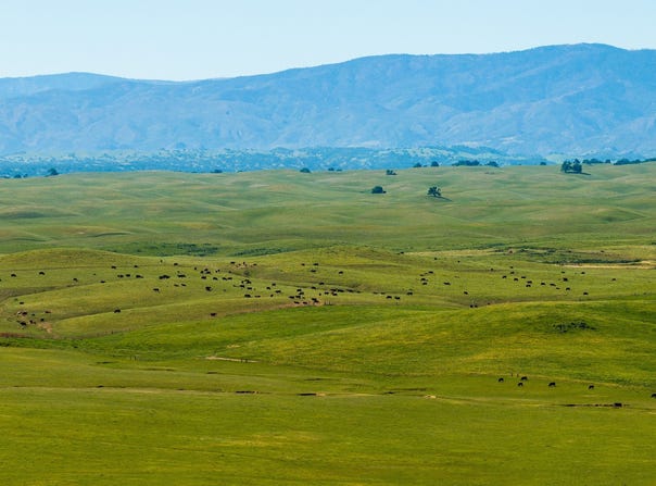 00 Rancho Tehama Road, Red Bluff, CA 96021