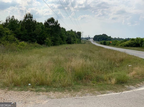 Owl Hollow Road, Carnesville, GA 30521