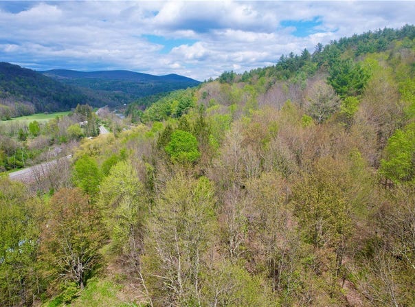 Lexington, NY 12492