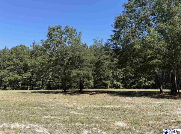 Isaiah Drive lot: 7, Dillon, SC 29536