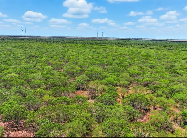 21316 COUNTY RD 798 lot: 0, Mathis, TX 78389