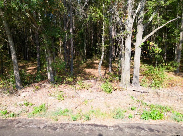 CR 4313, Pittsburg, TX 75686
