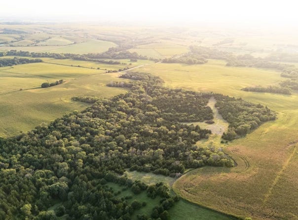 N Nest Rd, Fullerton, NE 68638