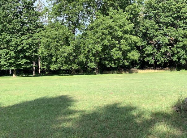 LIZZIE AVENUE, HESPERIA, MI 49421