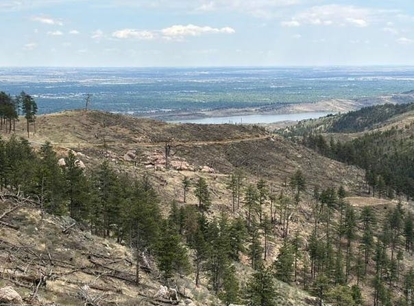711 Saddle Ridge Rd, Bellvue, CO 80512