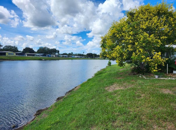 10813 Taco Way, Riverview, FL 33569