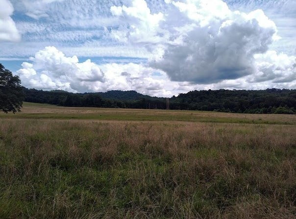 460 Skaggs Road, Morehead, KY 40351