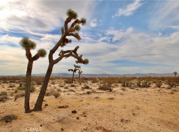 Cielito Drive, Joshua Tree, CA 92252