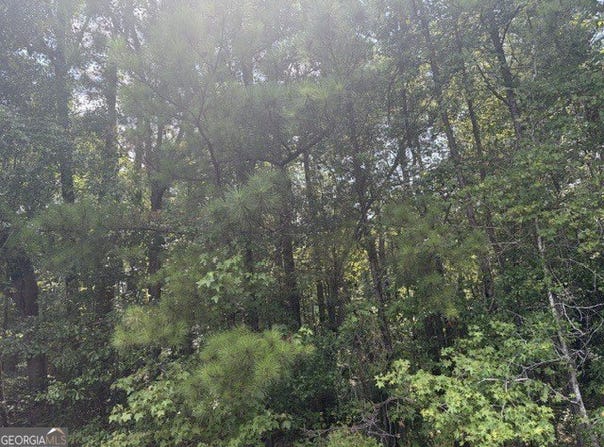 3063 Hamlin Road, Lizella, GA 31052