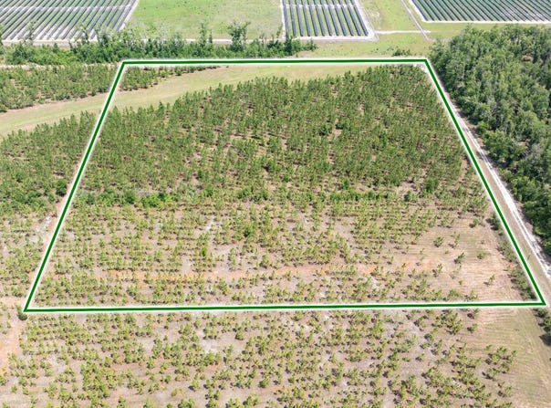 Live Oak, FL 32060