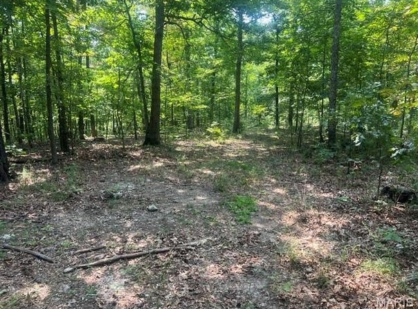 County Road 341, Piedmont, MO 63957