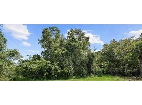 Adams Run, Douglas, GA 31533
