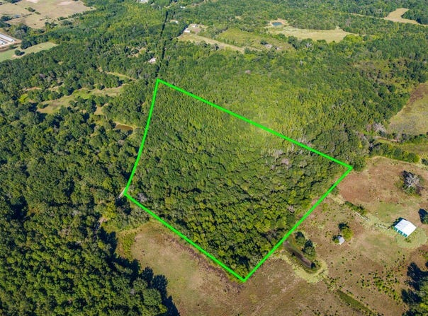 County Road 3324, 24 Ac, Pittsburg, TX 75686