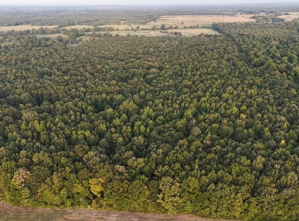23 LR County Road, Ashdown, AR 71822