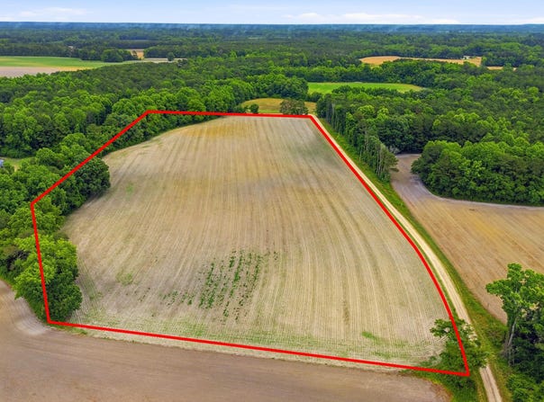 Pig Palace Lane, Council, NC 28434