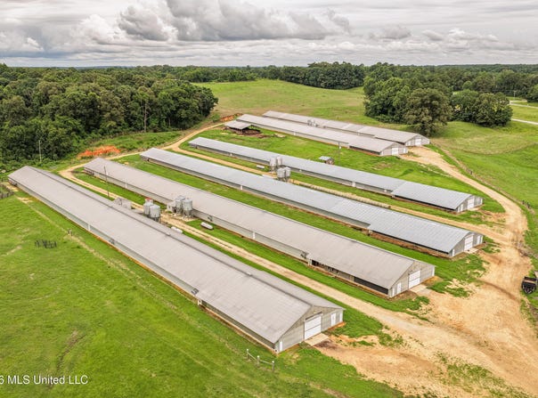 112 Old Hwy 13, Lena, MS 39094