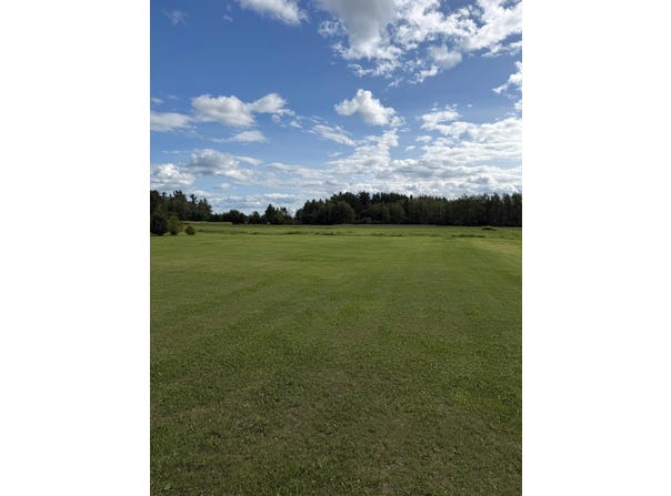 Mason Drive, Wrenshall, MN 55797