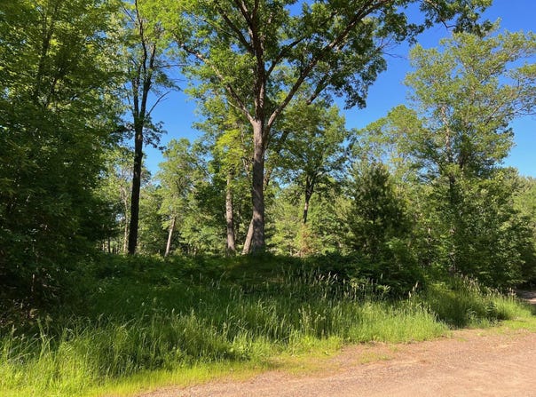 73XX Willow Street E, Webster, WI 54893