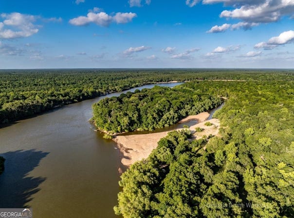 Old River Road, Jesup, GA 31545