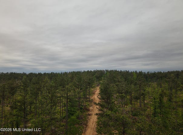 Graysport Crossing Road, Grenada, MS 38901