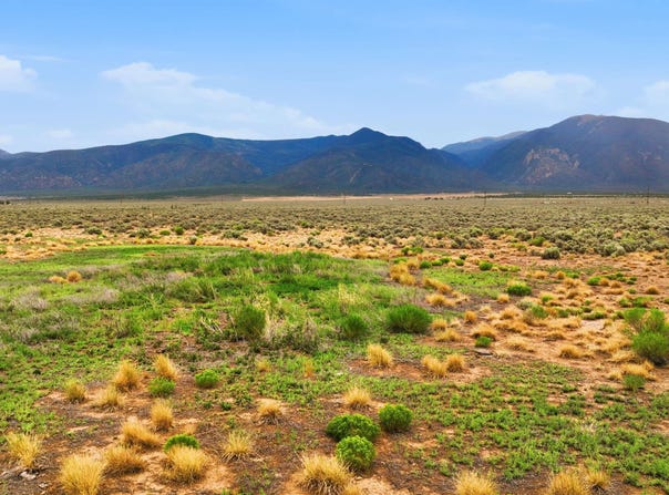 80 Acres Sunshine Valley Road, Cerro, NM 87556
