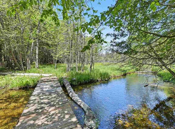5218 Mitchell Road, Central Lake, MI 49622