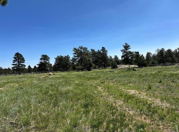 62 White Slide Mountain Ct, Livermore, CO 80536