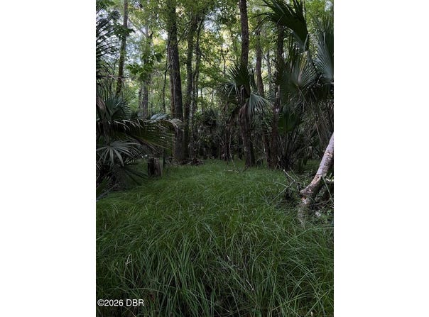 280 Old Bubbly Road, Pierson, FL 32180