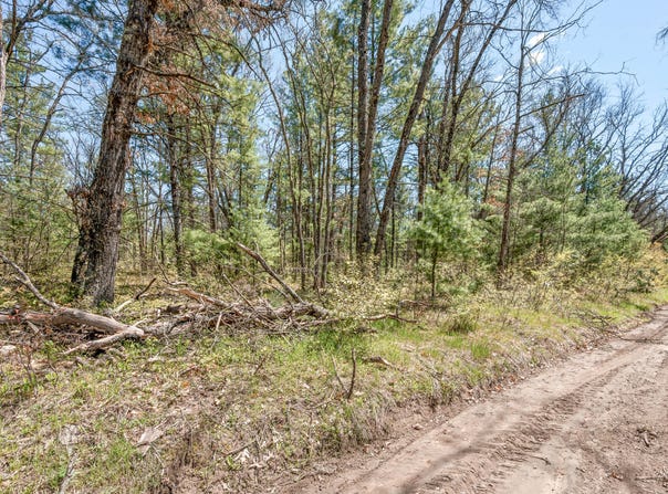 Bradby Blvd, Baldwin, MI 49304