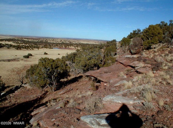 N8526 lot: 13, Concho, AZ 85924