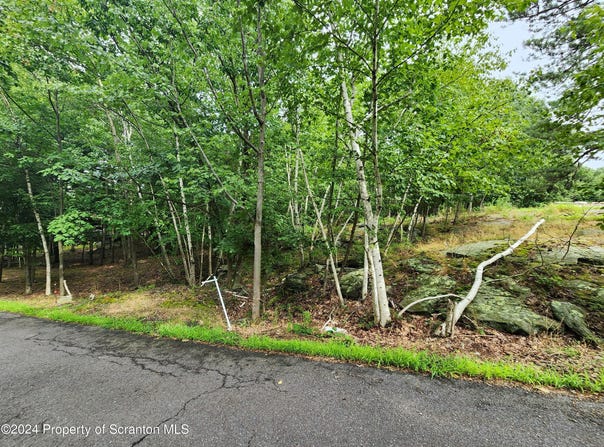 Baldassari Drive lot: A-1, Dunmore, PA 18512