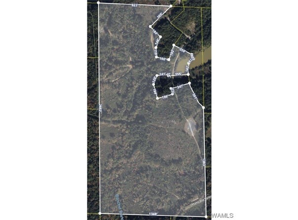 CAPSTONE Boulevard, Brookwood, AL 35444