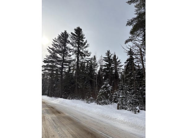 1901 County Route 27, Owls Head, NY 12969