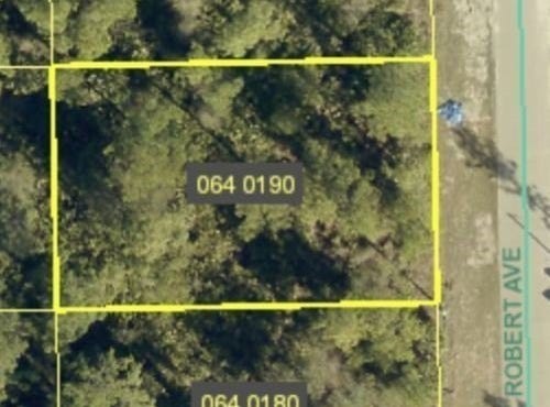 2011 Robert Avenue, Alva, FL 33920