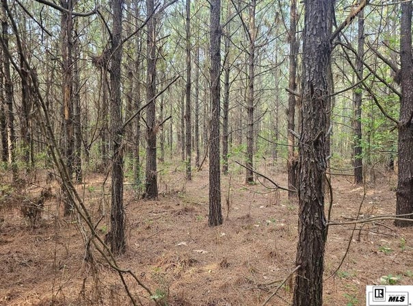 COUNTY LINE ROAD, Ruston, LA 71270